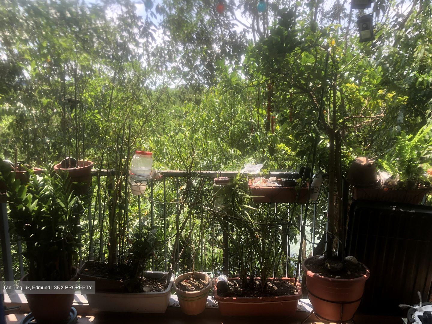 Kingsford Waterbay (D19), Apartment #559647651
